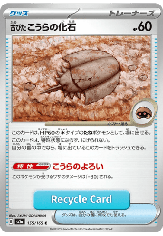 Antique Dome Fossil