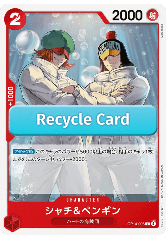 Shachi & Penguin