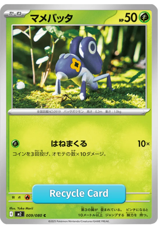 マメバッタ-009