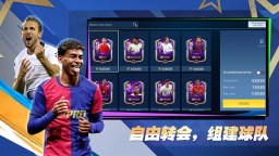 Screenshot 4: 足球传奇：职业之路