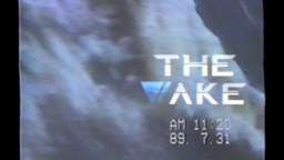 Screenshot 2: 더 웨이크 (The Wake)
