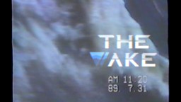 Screenshot 2: 浪痕 (The Wake)
