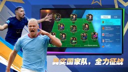 Screenshot 5: 足球传奇：职业之路