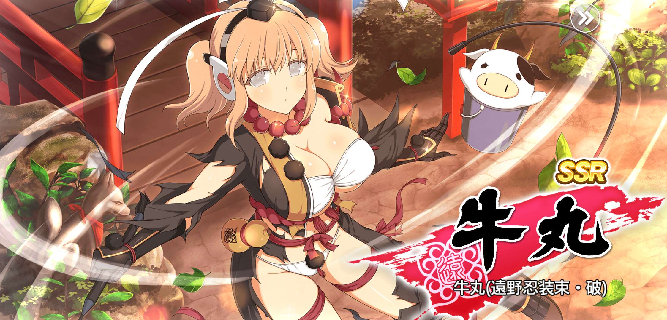 Senran Kagura: Burst, Kagura Wiki