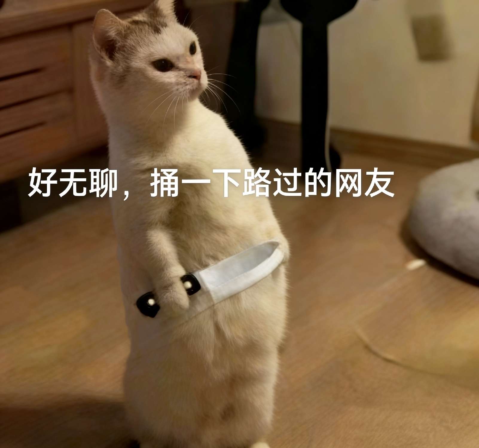 https://o.qoo-img.com/storage.qoo-img.com/cimg/note/2026/07/09/2d5818e12186c1d1b2c8cb7f471550d5.jpeg