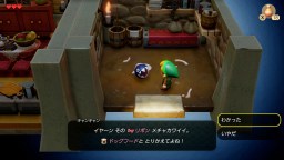 Screenshot 3: The Legend of Zelda: Links Awakening