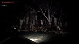 Screenshot 4: Drowned Lake