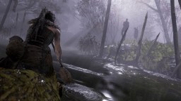 Screenshot 1: Hellblade: Senua's Sacrifice